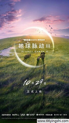 拍哩拍哩2高清版“????????”