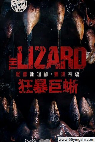 成人猫咪入口全新升级，网友：更好用了！