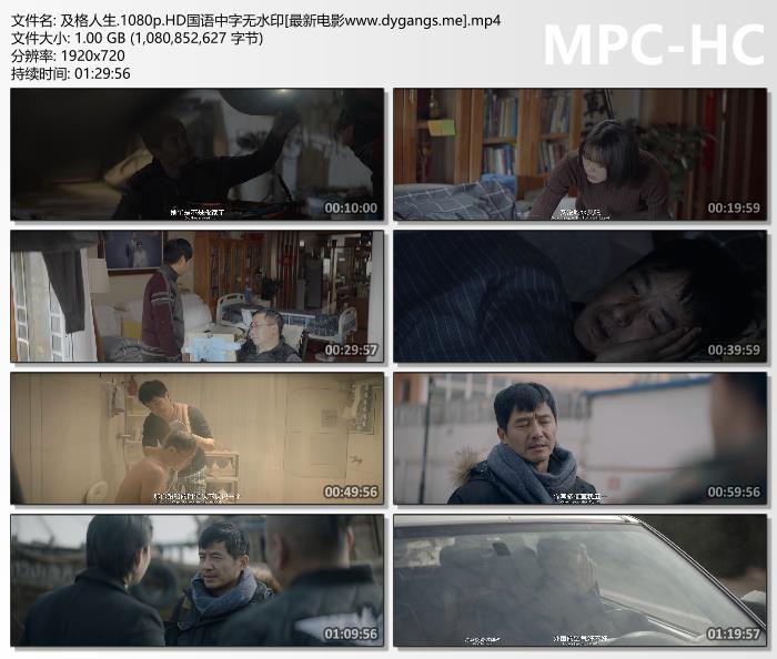 轻量版网页端入口:高空伐木，为什么不直接把树切断？  #科普 #解压 #伐木工 #高空伐木 #冷知识
